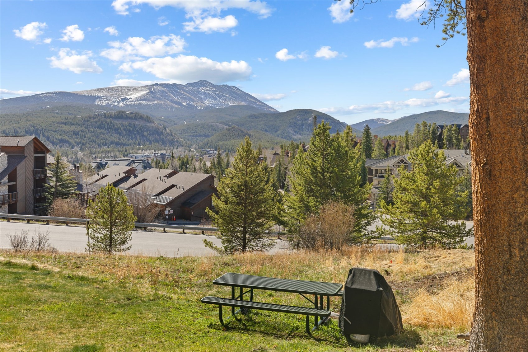 875 4 O Clock Road, Unit D3 Breckenridge, CO 80424 - Photo 33 of 45