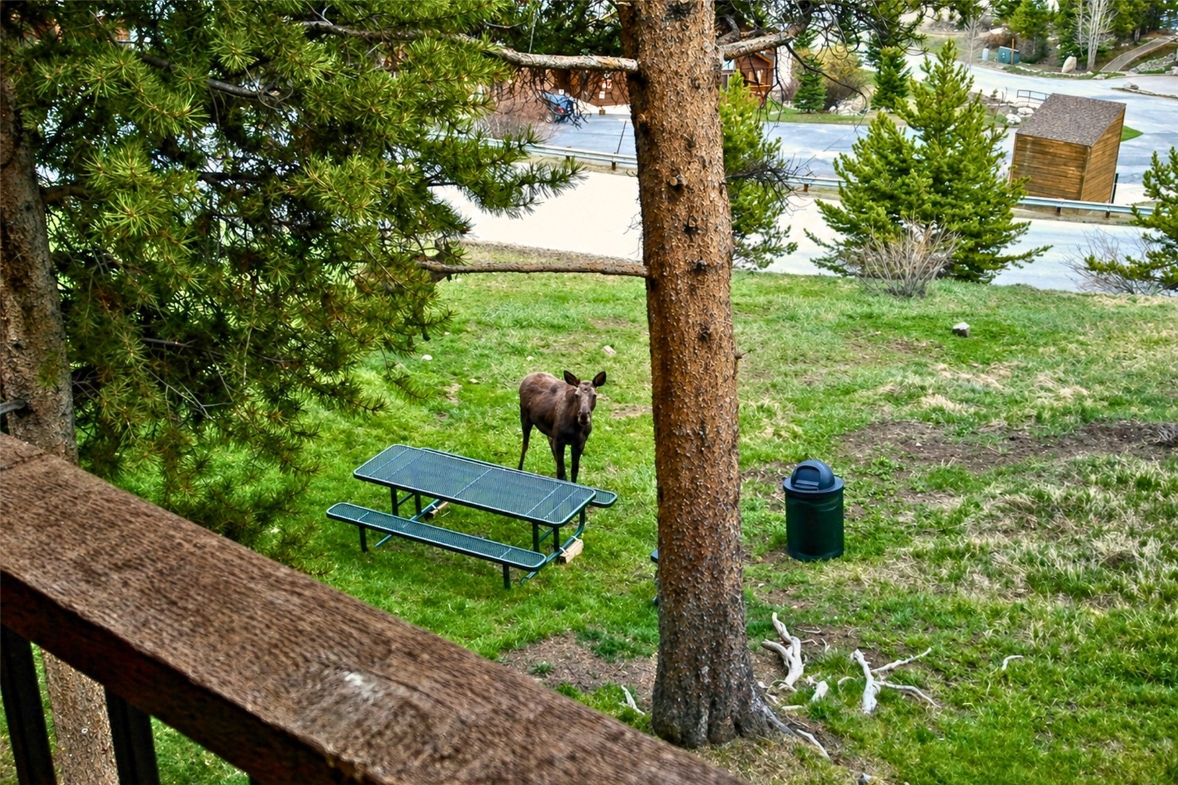 875 4 O Clock Road, Unit D3 Breckenridge, CO 80424 - Photo 35 of 45