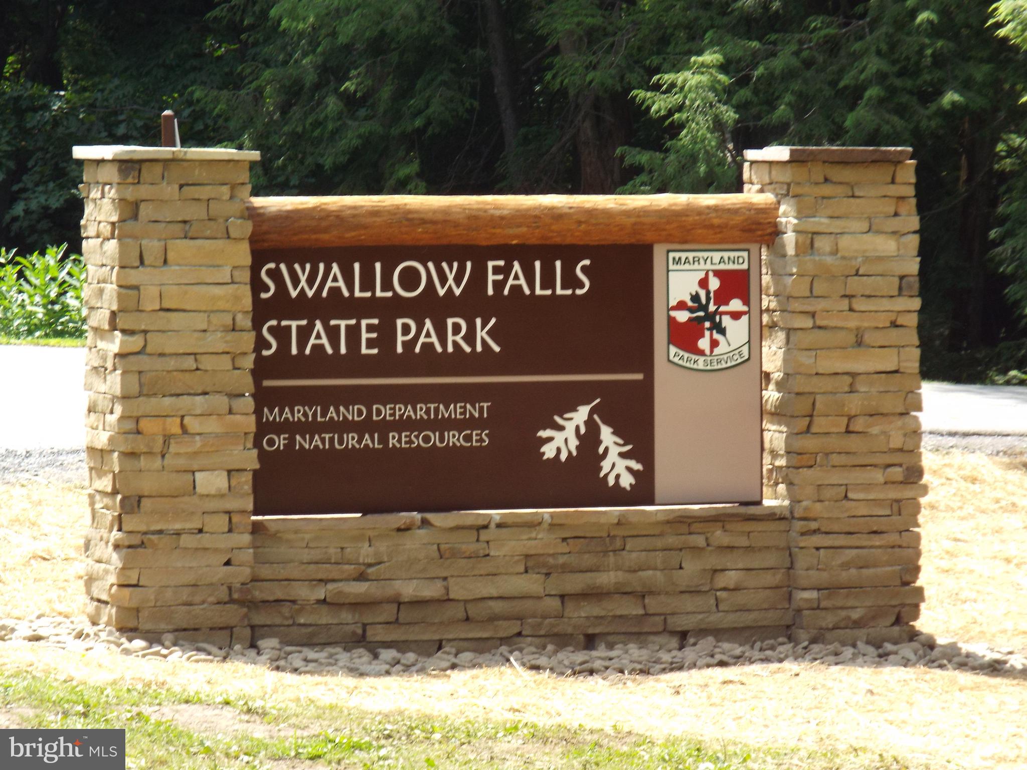 335 Charley Bowser Road Accident, MD 21520 - Photo 81 of 85 Swallow Falls Entrance