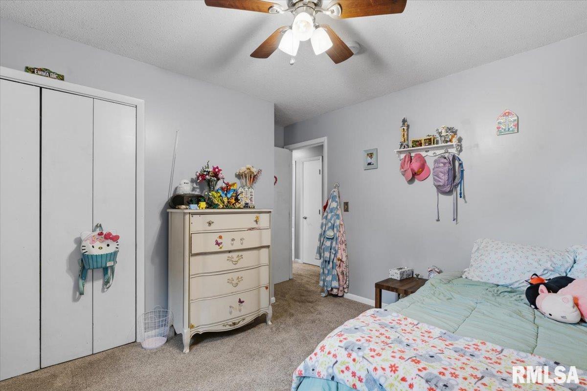 11 Rock Road Chatham, IL 62629 - Photo 26 of 40