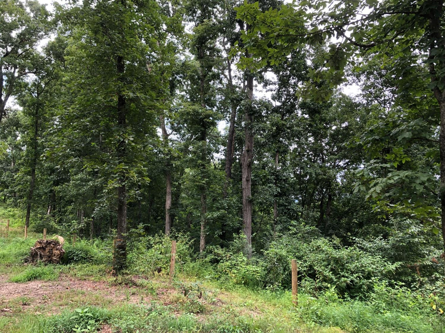 310 Oil Springs Road Winchester, KY 40391 - Photo 28 of 30 Listing Photo