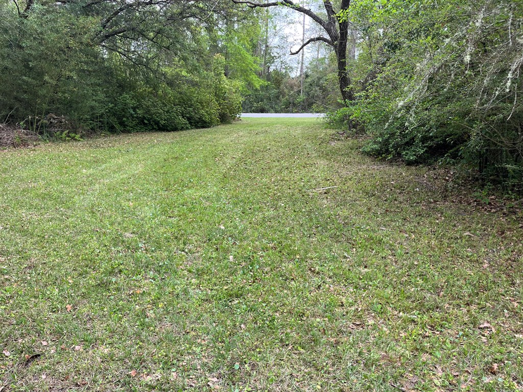 609 Lakegrove Road Wewahitchka, FL 32465 - Photo 9 of 39 Gallery Image 9