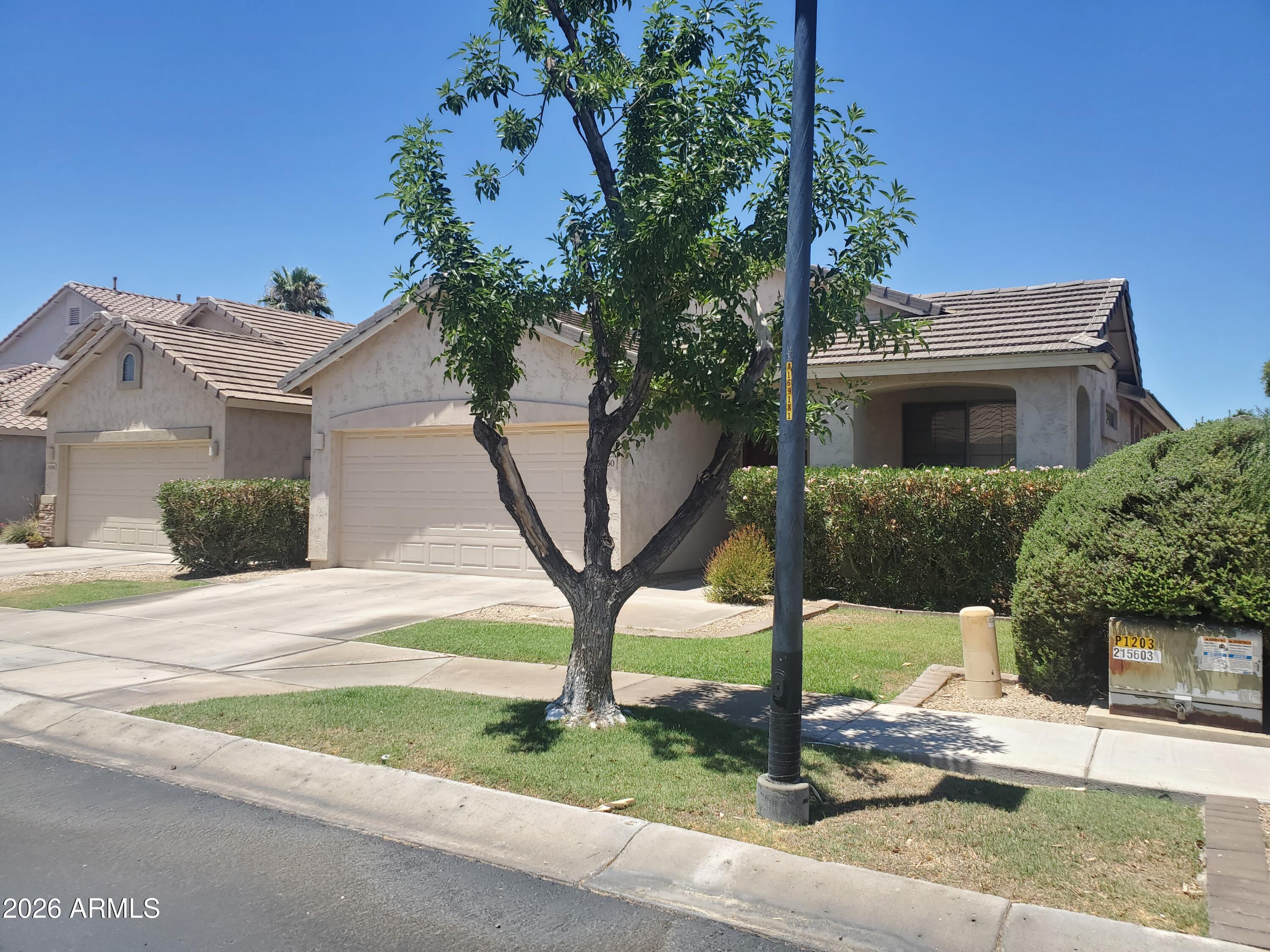 2430 East Darrel Road Phoenix, AZ 85042 - Photo 3 of 64 Front Elevation East Side