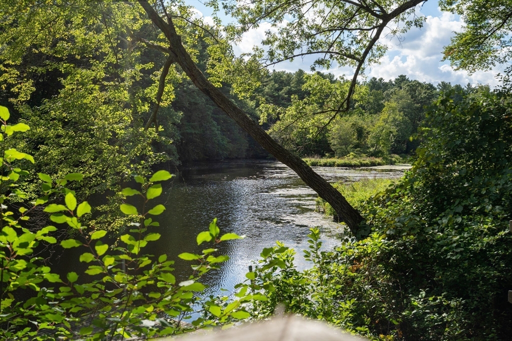 182 Winding River Road Wellesley, MA 02482 - Photo 35 of 40 a view of a yard with plants