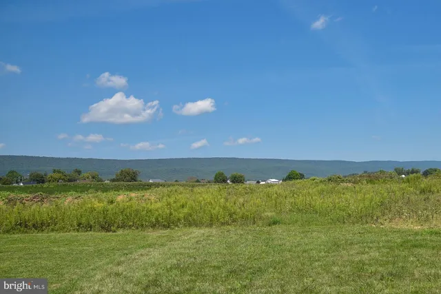 a view of a lake in a yard