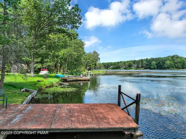a view of a garden with an outdoor space