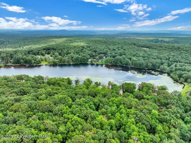 a view of a garden with an outdoor space