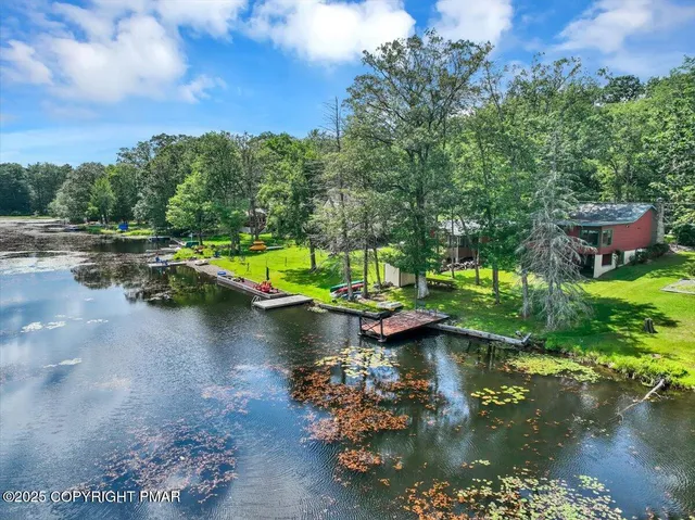 a view of a garden with a large tree