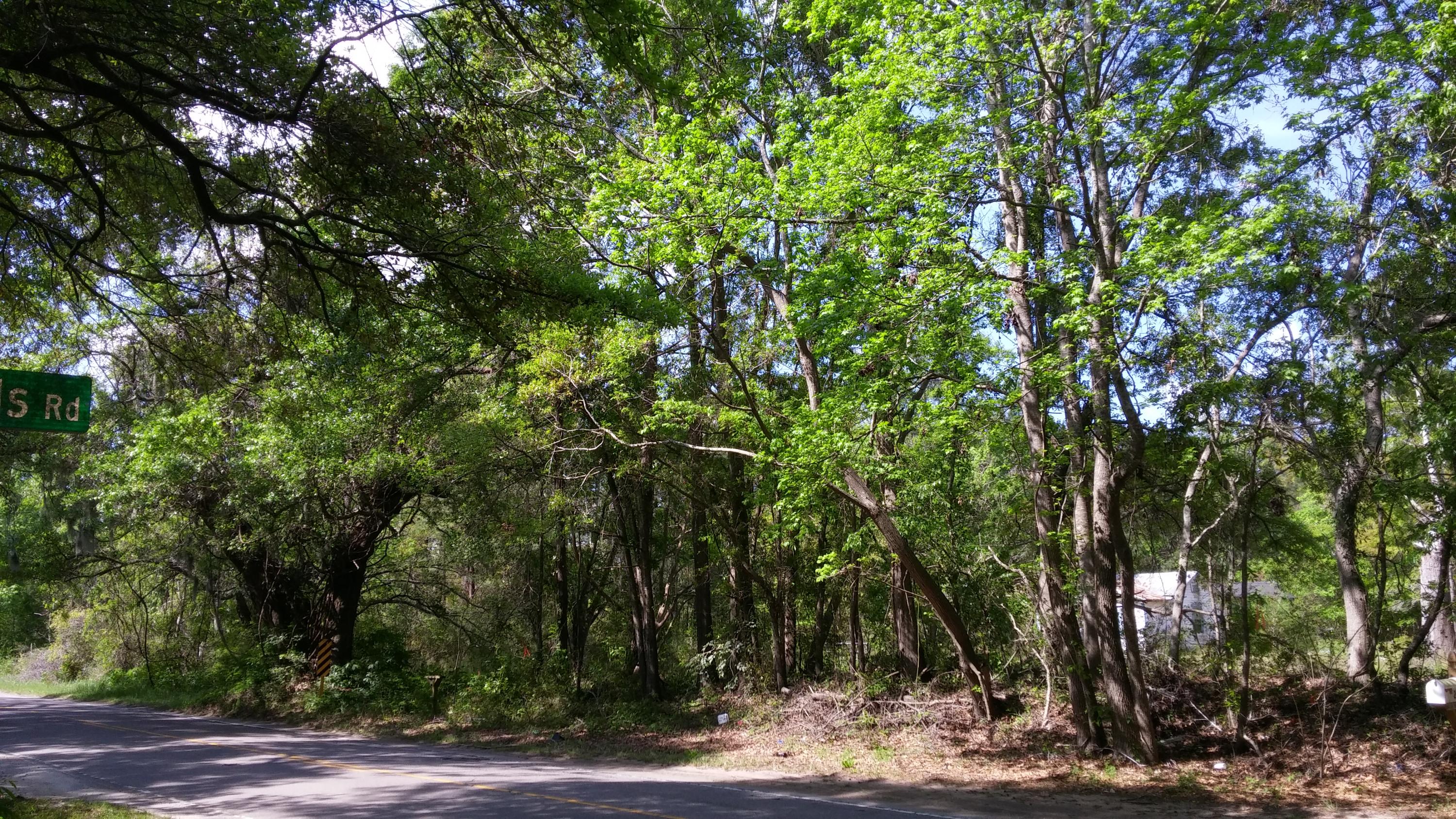 2908 River Road Johns Island, SC 29455 - Photo 4 of 8 20170413_110509