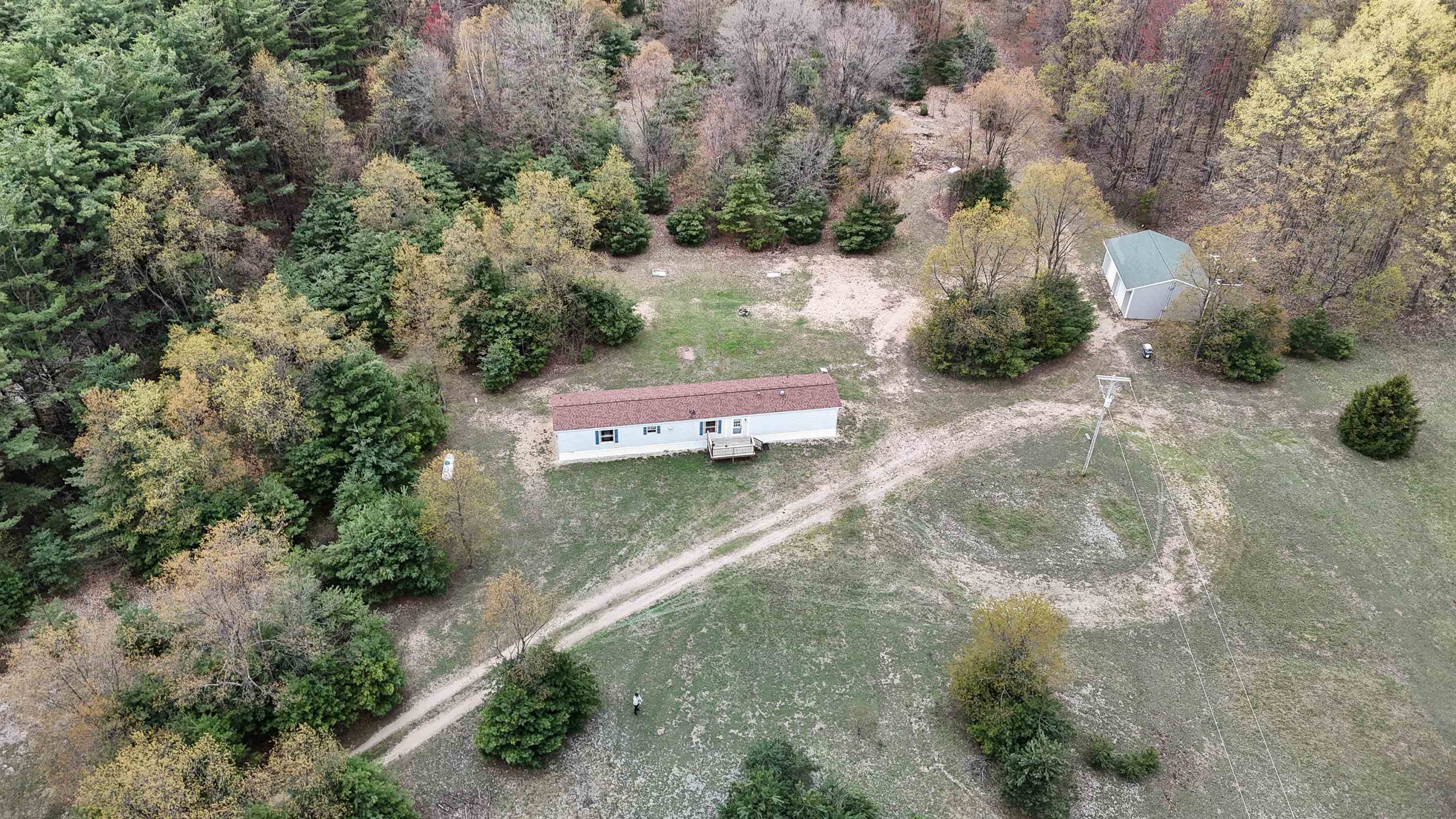 7274 South Forward Road McBain, MI 49657 - Photo 3 of 76