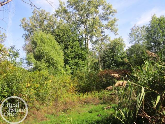 0 25 25 Mile Road Utica, MI 48315 - Photo 4 of 4 31264619-3.JPG