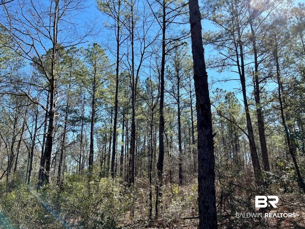 0 Country Road Deer Park, AL 36529 - Photo 35 of 46