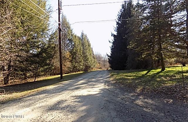 50 Long River Road Newfoundland, PA 18445 - Photo 69 of 70 DSCN5213