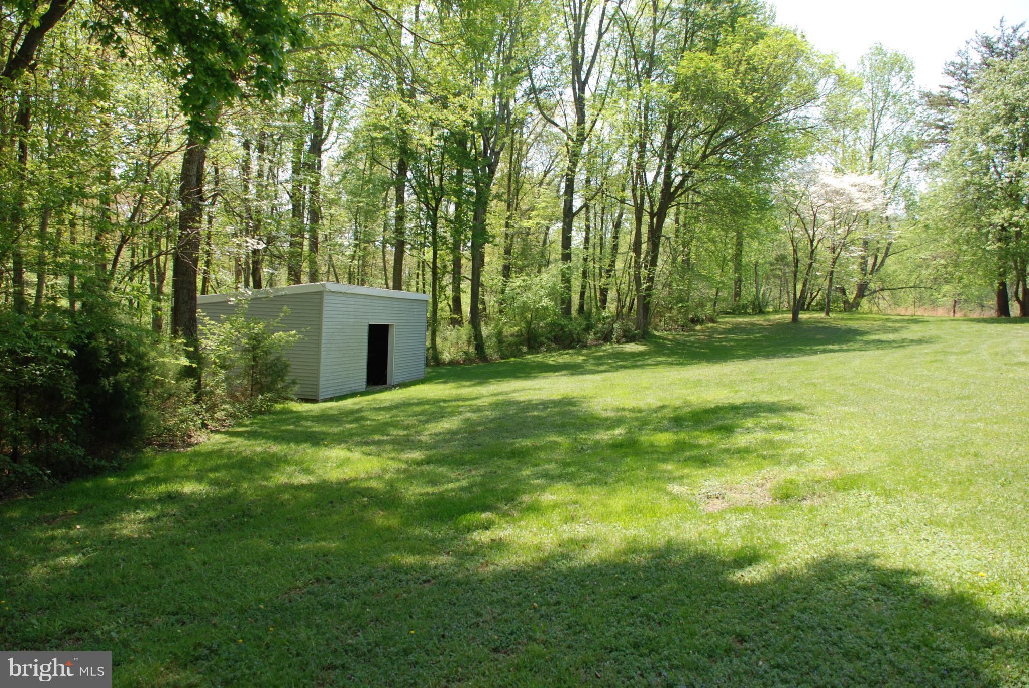900 Scrabble Road Castleton, VA 22716 - Photo 5 of 6 Exterior (Rear)