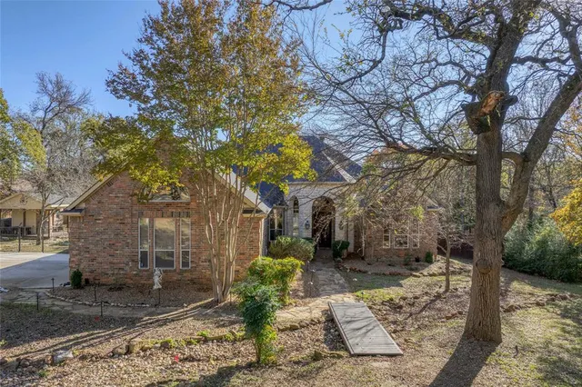 a view of a yard with plants and trees