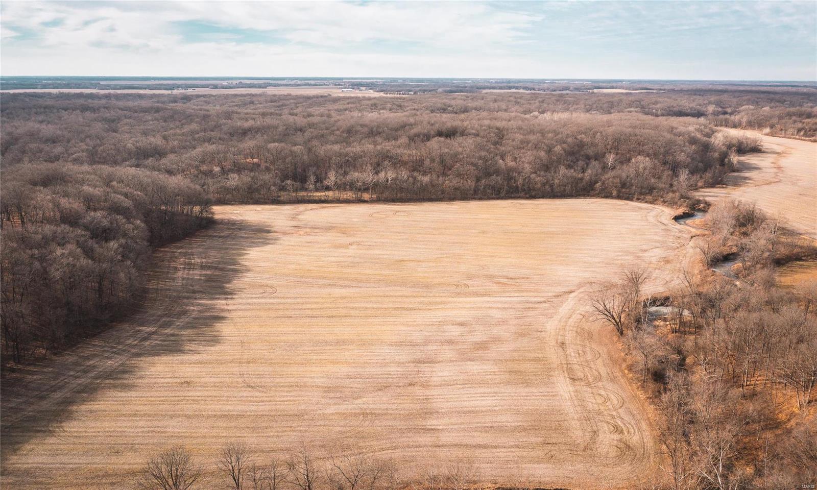 10257 Spanish Needle Road Gillespie, IL 62033 - Photo 10 of 26