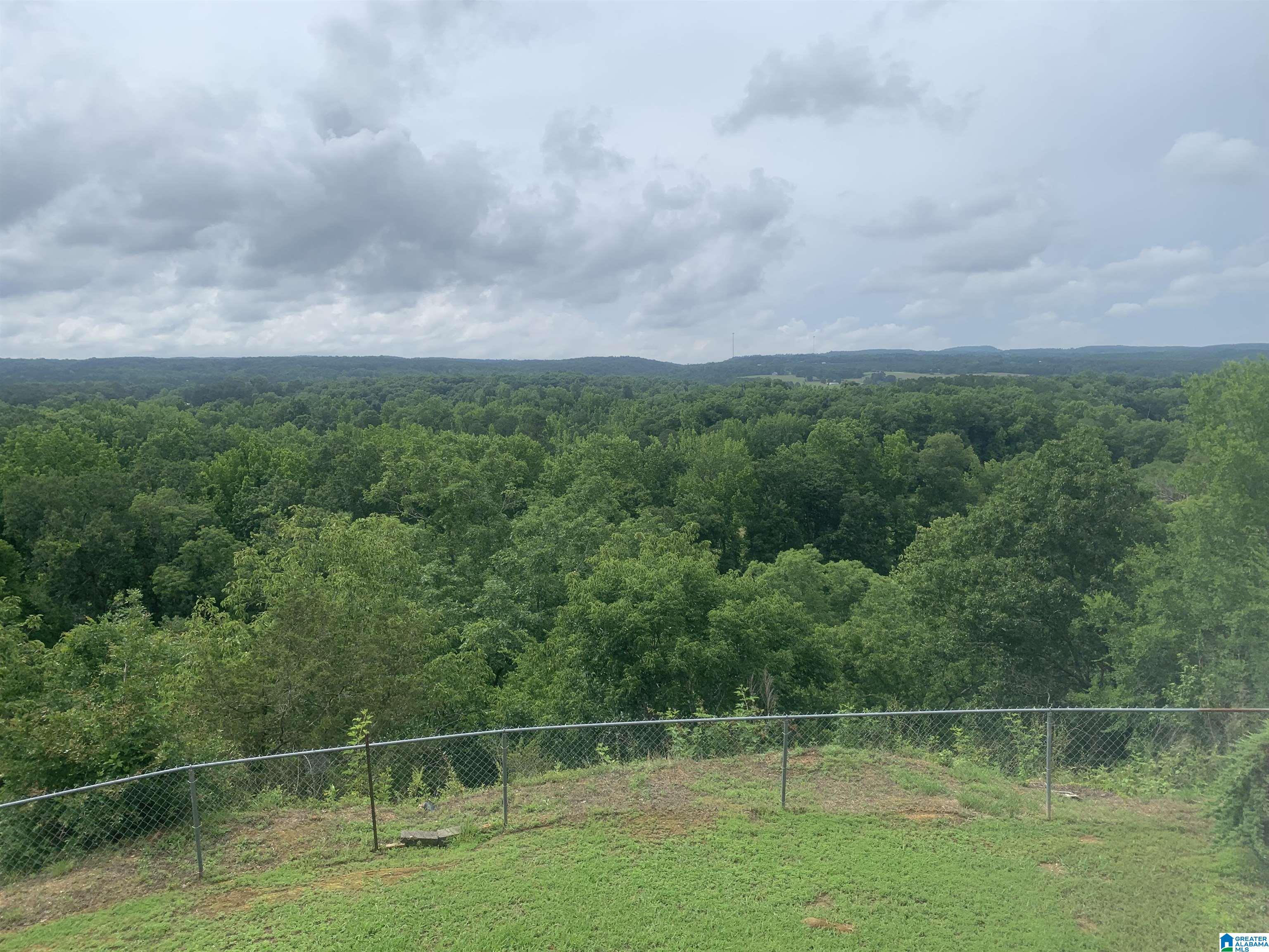 554 River Ridge Road Cleveland, AL 35049 - Photo 67 of 68