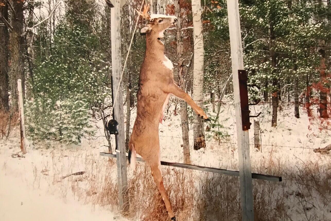 3720 West Fletcher Road Roscommon, MI 48653 - Photo 50 of 51 Harvest - years past