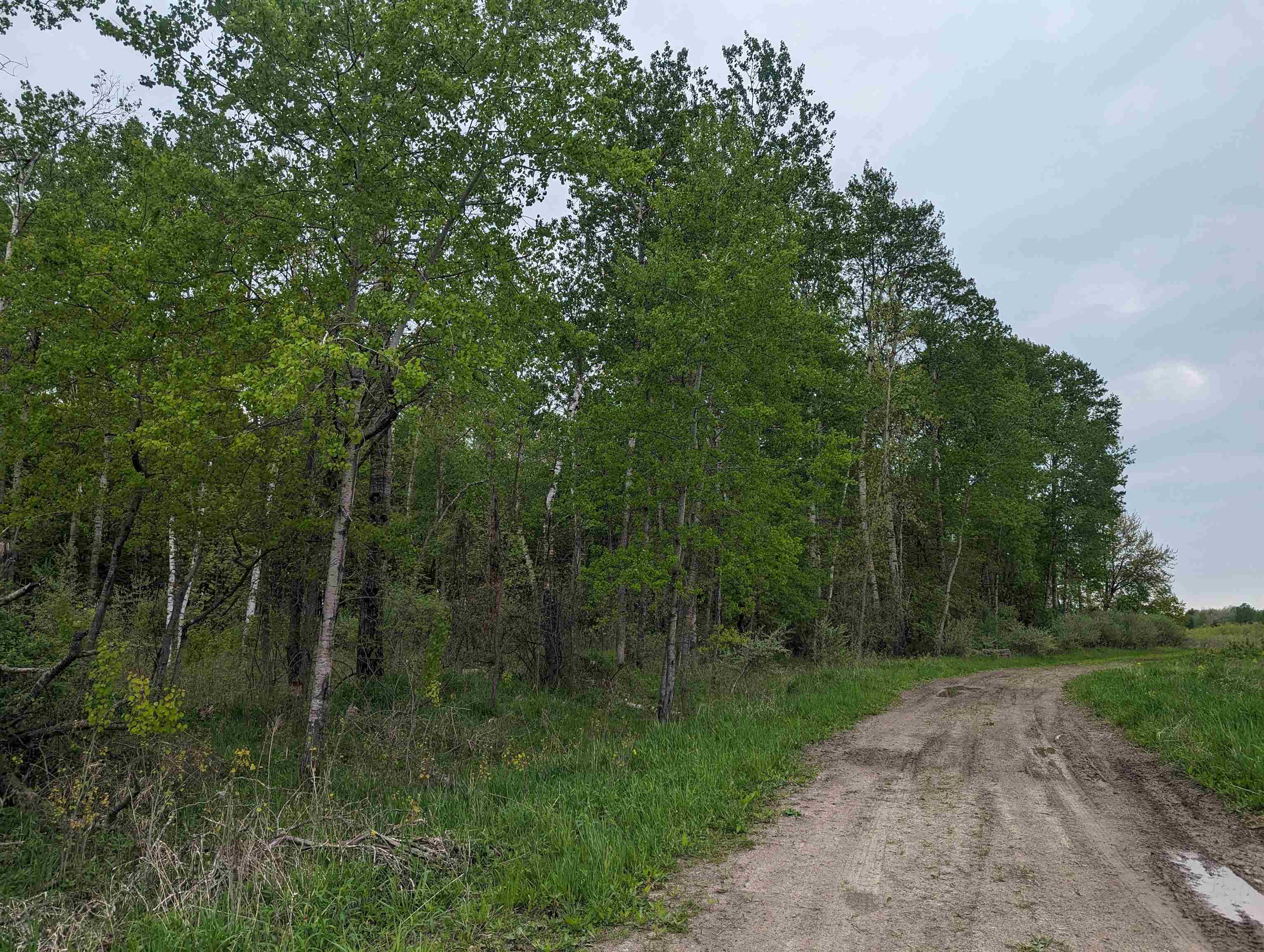 N/a North Lentner Road Turner, MI 48765 - Photo 2 of 10
