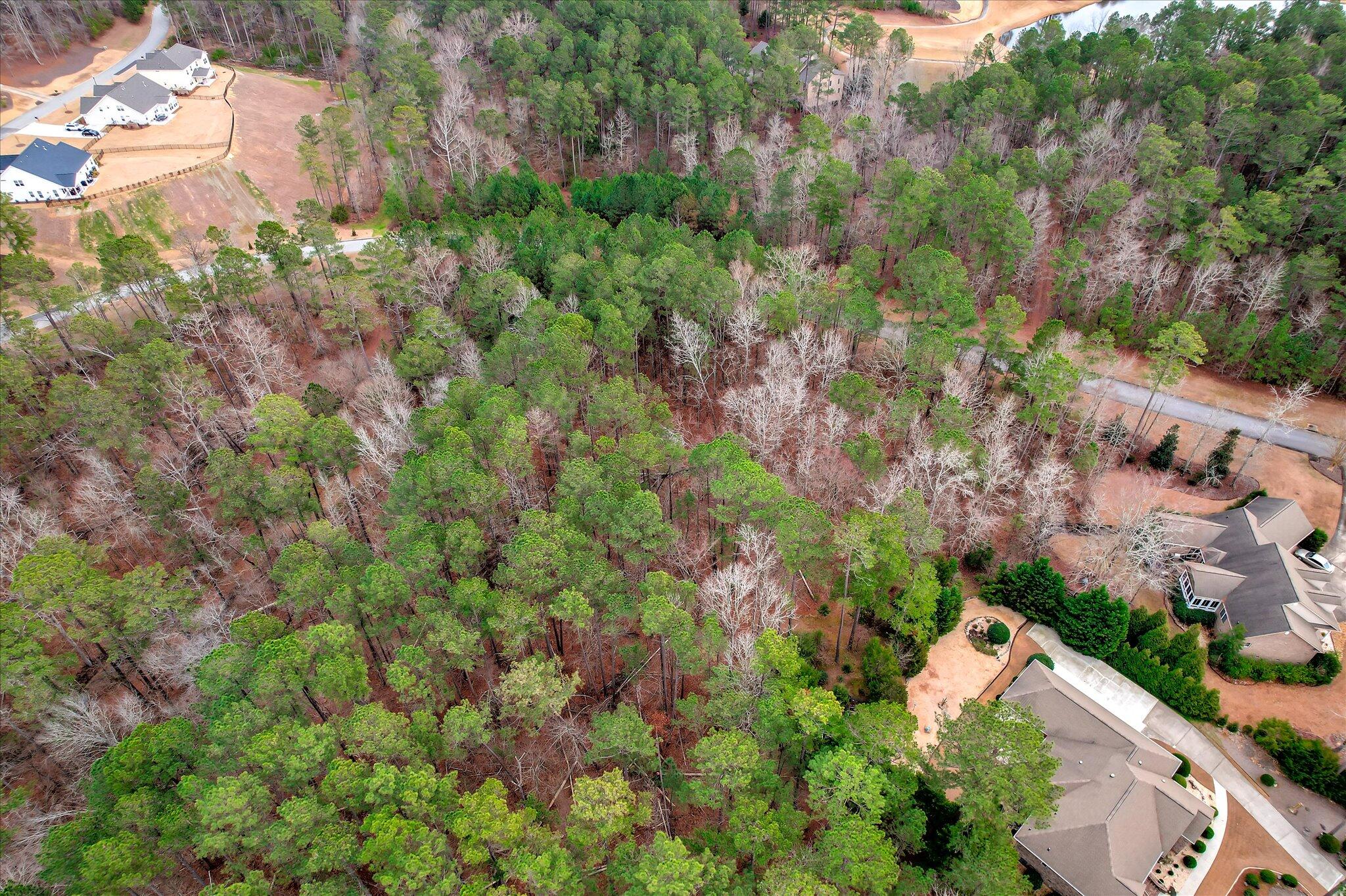 Lot K-18 Lot K-18 Collin Reeds Road Edgefield, SC 29824 - Photo 11 of 24