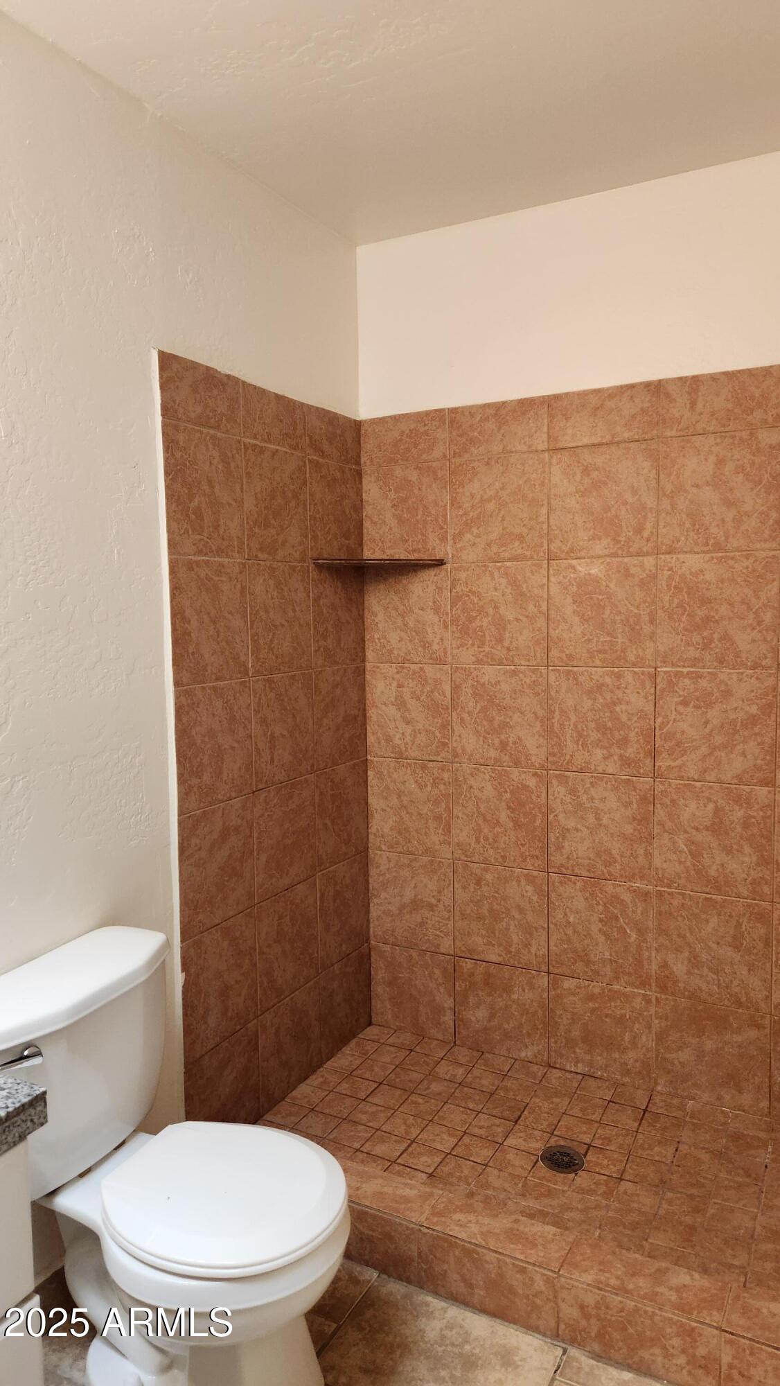 3119 North 38th Street, Unit 10 Phoenix, AZ 85018 - Photo 16 of 20 a bathroom with a toilet and a shower