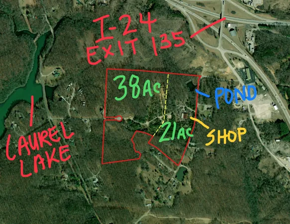 an aerial view of a yard with plants