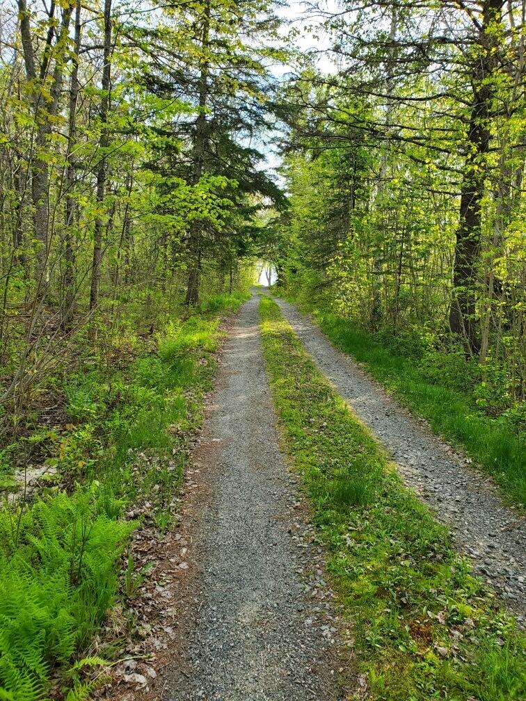 669 Bayside Road Ellsworth, ME 04605 - Photo 21 of 30 imagejpeg-0 (5)