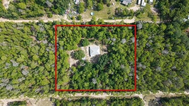 24607 Polar Bear Road Paisley, FL 32767 - Photo 6 of 47
