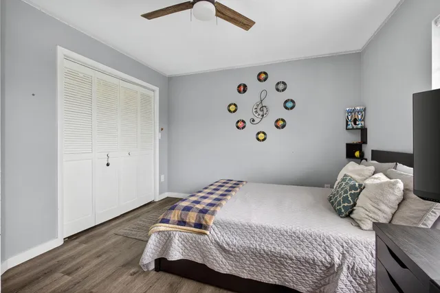 a view of a park with large trees