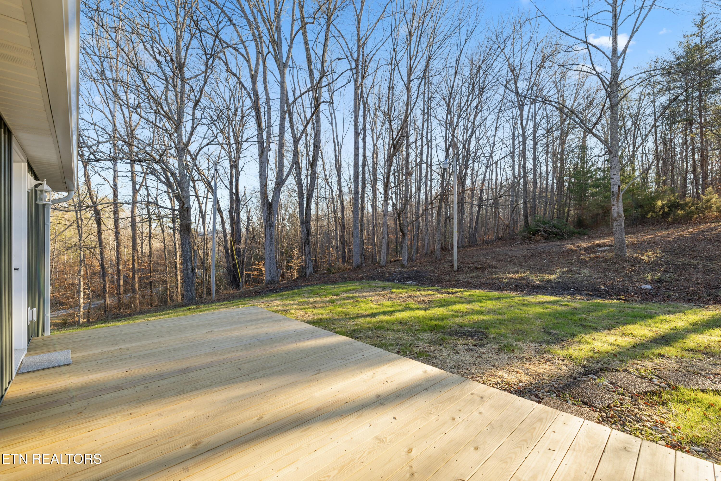 135 Cougar Ridge Huntsville, TN 37756 - Photo 5 of 20 Positive Perceptions-9