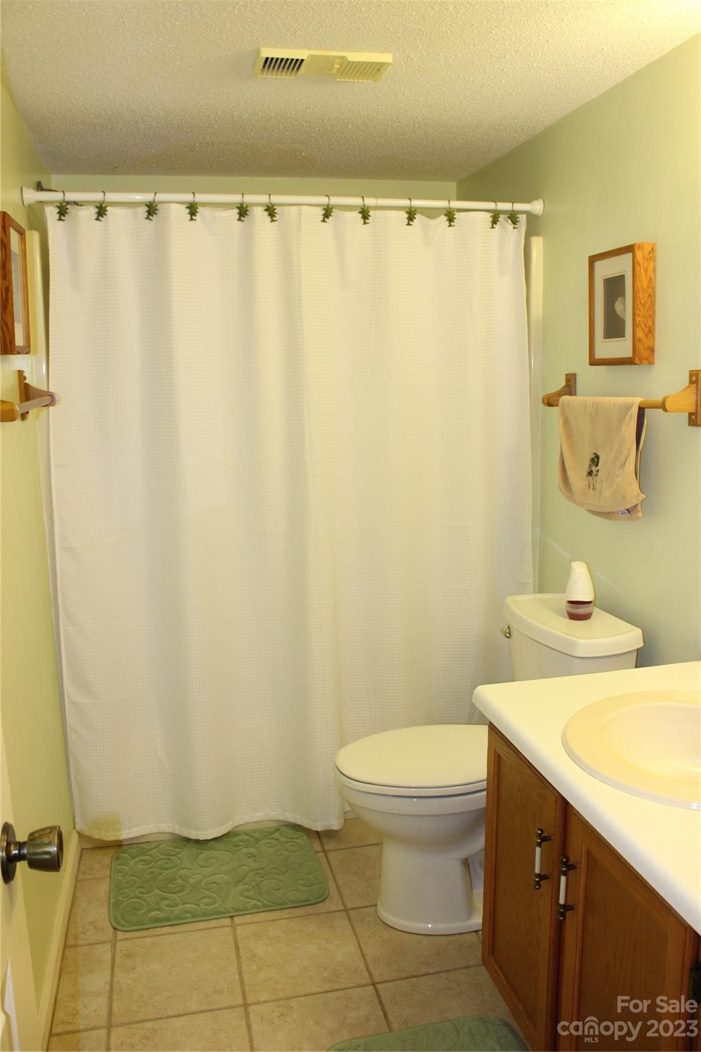 2881 White Oak Mountain Road, Unit D2 Columbus, NC 28722 - Photo 35 of 39 a bathroom with a sink a toilet and shower
