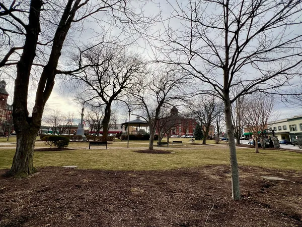 a view of a park with large trees