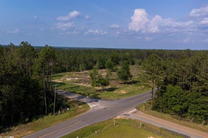 0 Garoadner Road Elberta, AL 36530 - Photo 2 of 9