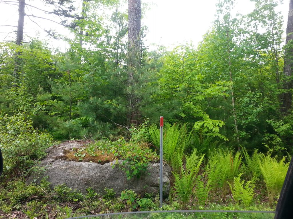 Lots #1-4 Lots Road Campton, NH 03223 - Photo 11 of 14