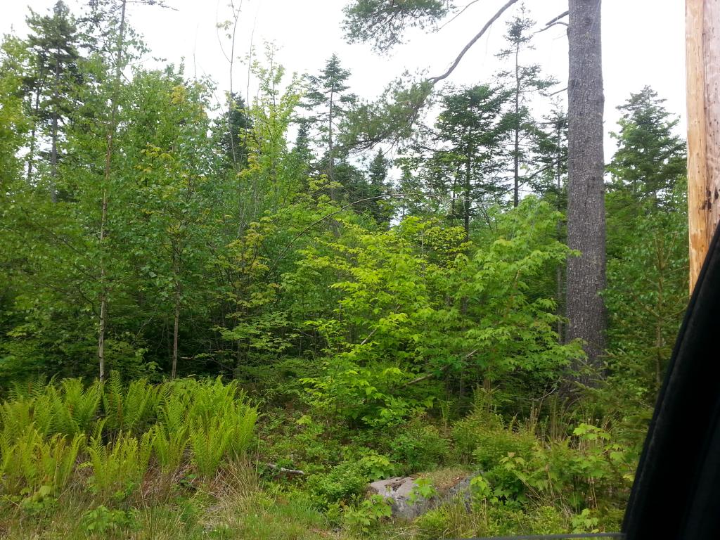 Lots #1-4 Lots Road Campton, NH 03223 - Photo 14 of 14