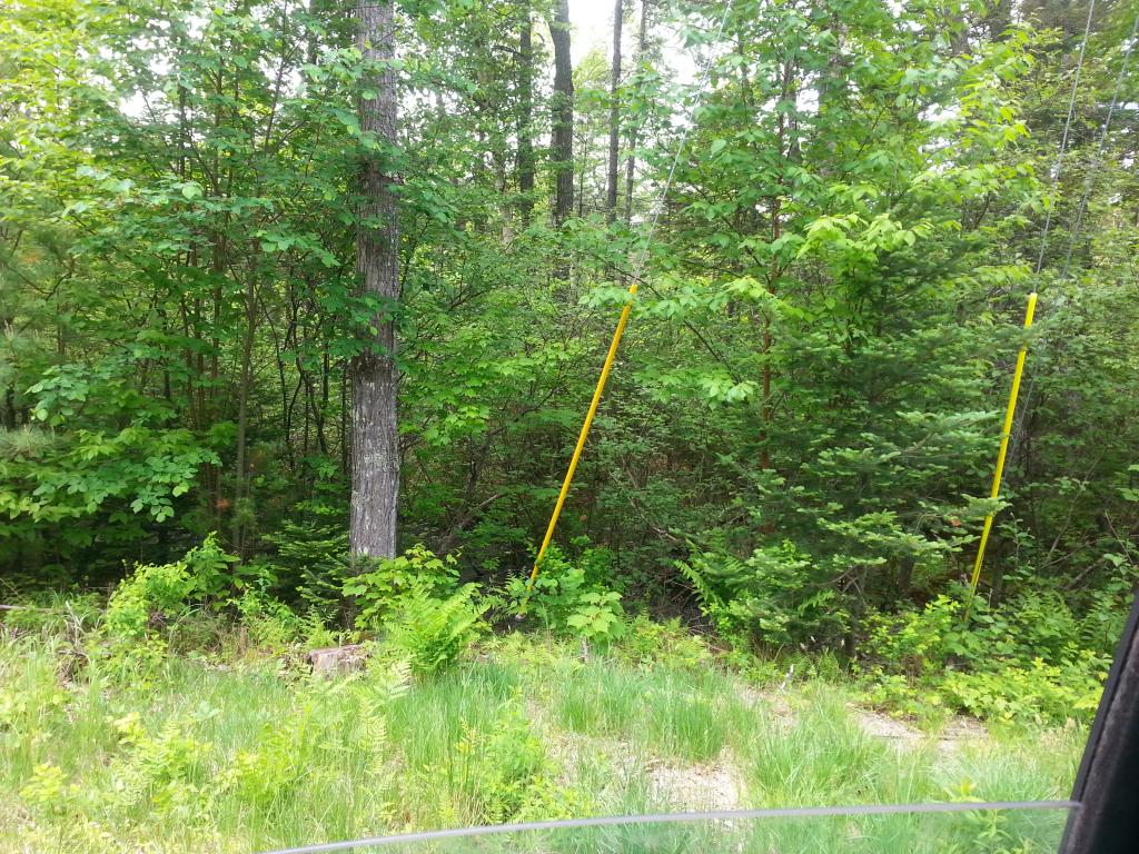 Lots #1-4 Lots Road Campton, NH 03223 - Photo 3 of 14