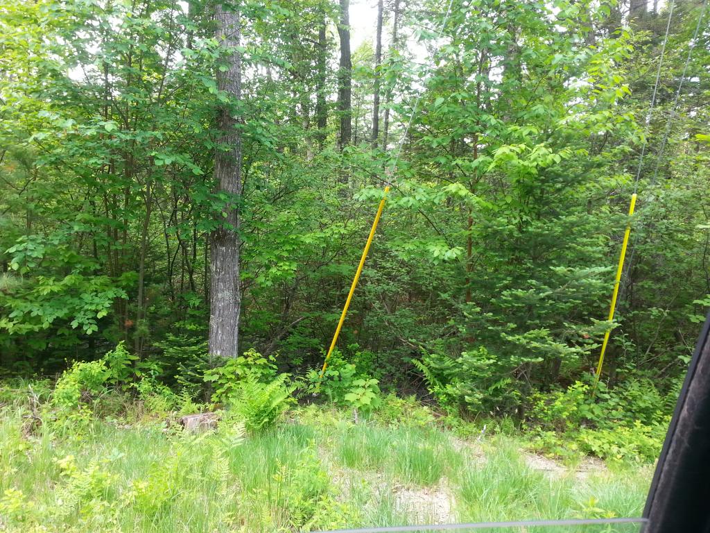 Lots #1-4 Lots Road Campton, NH 03223 - Photo 4 of 14