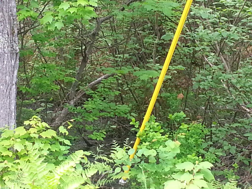 Lots #1-4 Lots Road Campton, NH 03223 - Photo 5 of 14