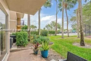 a view of a garden with plants and a bench