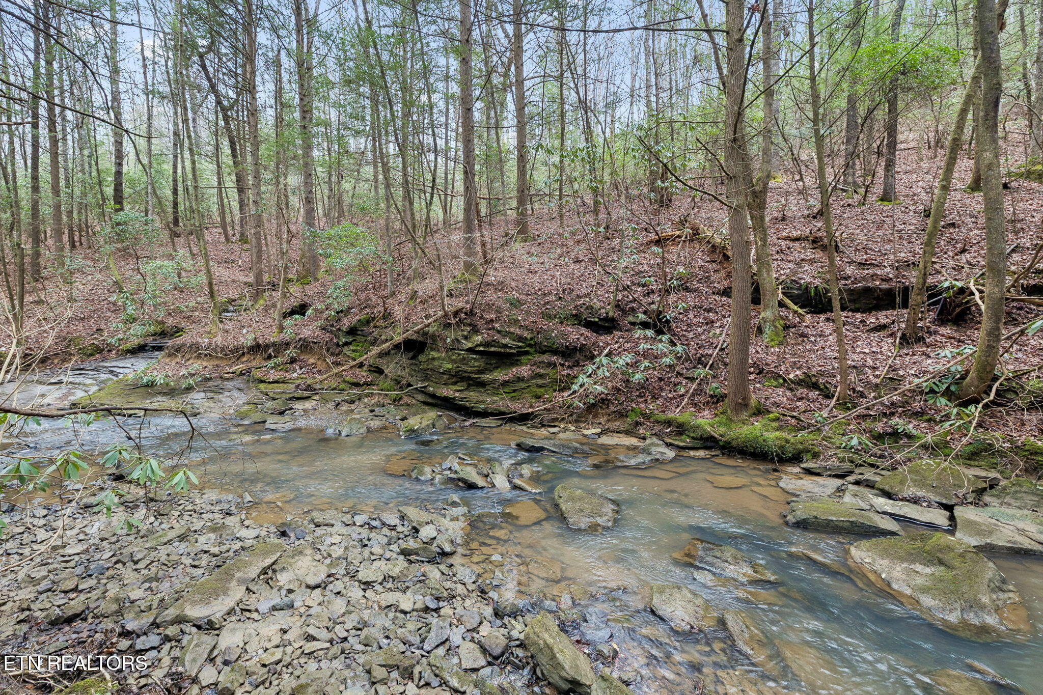 Sheep Ranch Road, Unit 24 Robbins, TN 37852 - Photo 6 of 33 13-1 Sheep Ranch Rd - 013