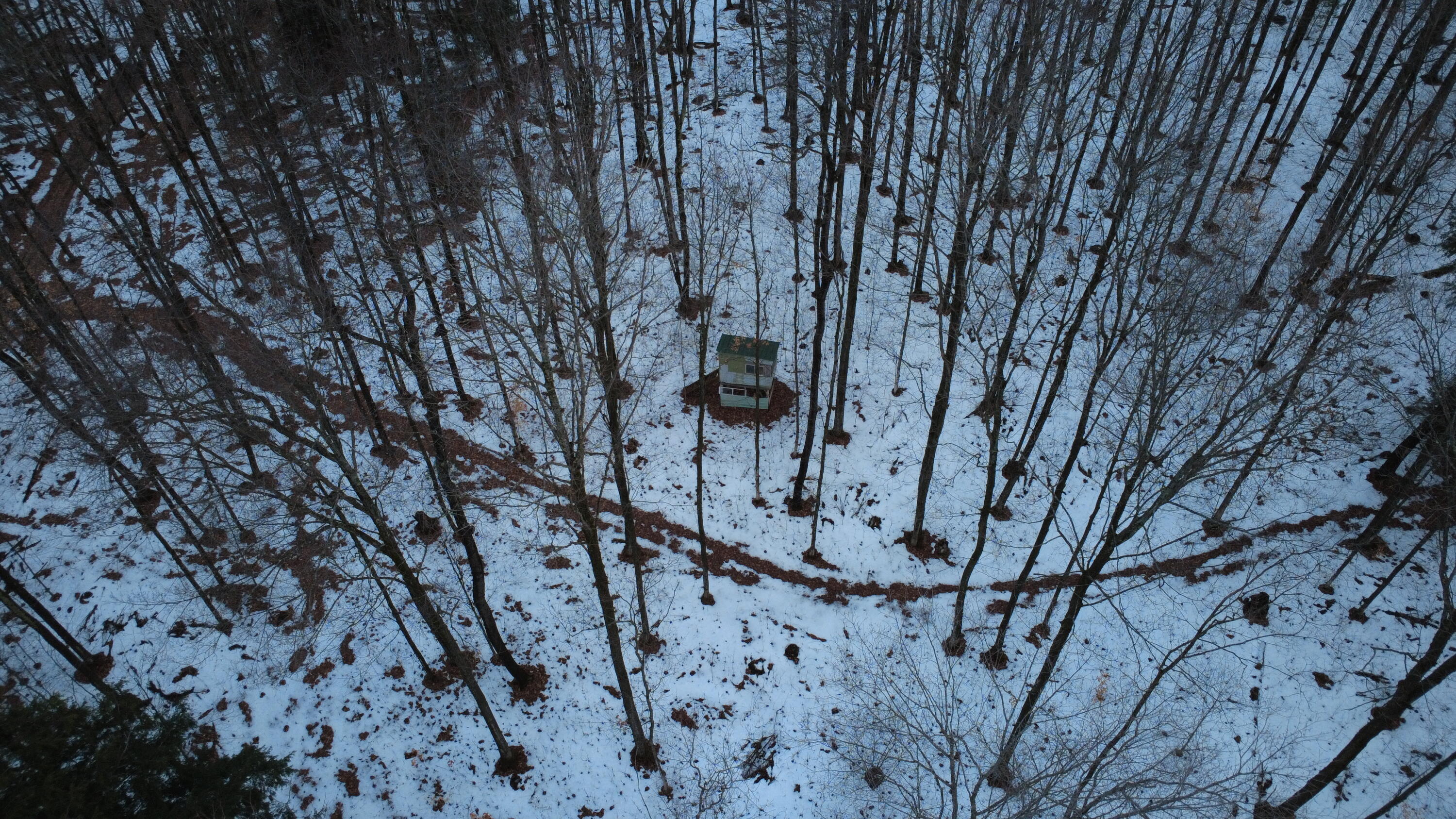 4301 North Ayr Road Alanson, MI 49706 - Photo 26 of 57 Gallery Image 26