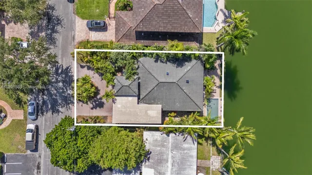 a picture of a tree with a garden