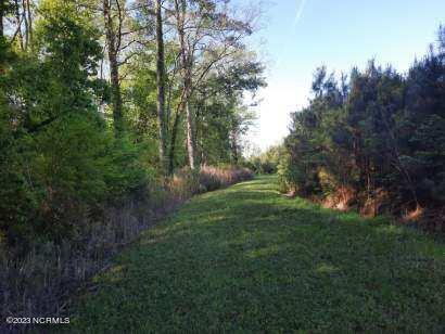 16126 Highway 32 Roper, NC 27970 - Photo 1 of 64 Path