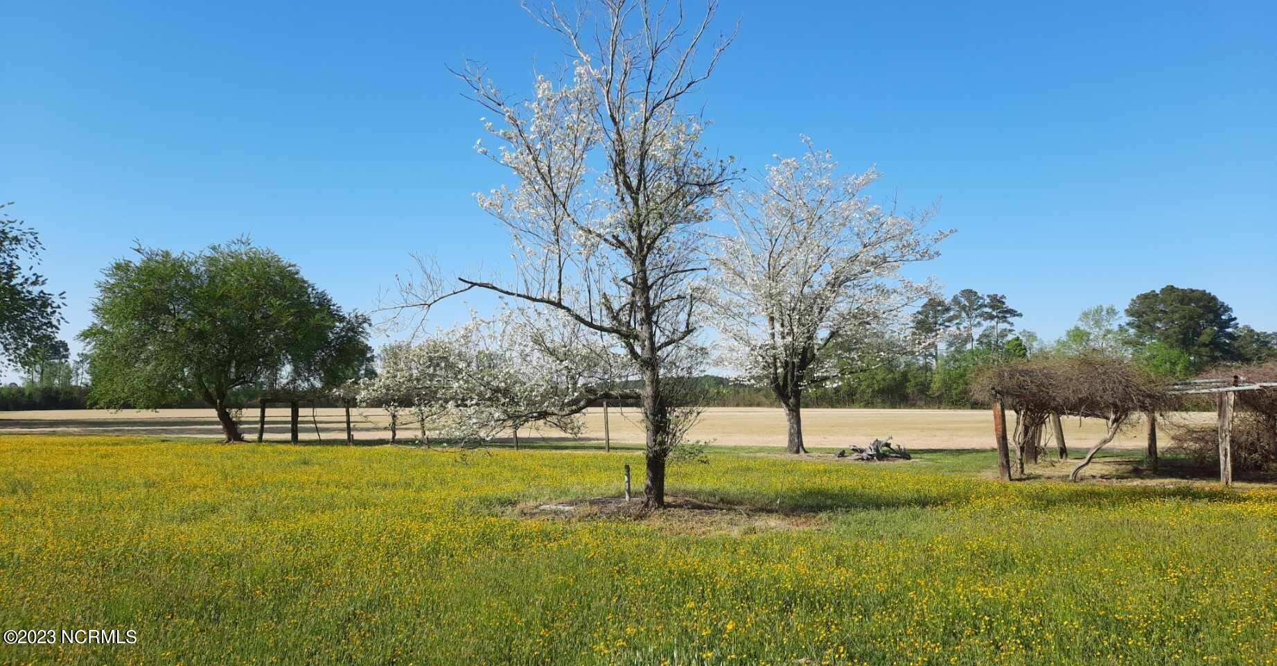 16126 Highway 32 Roper, NC 27970 - Photo 3 of 64 Resized952023041395085601