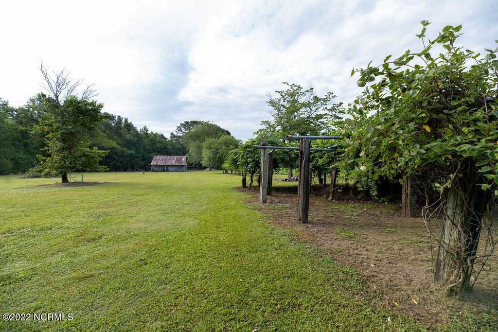 16126 Highway 32 Roper, NC 27970 - Photo 46 of 64 Yard3