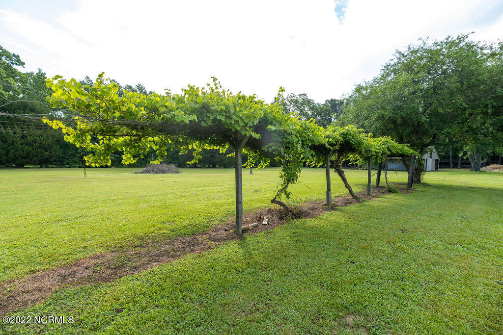 16126 Highway 32 Roper, NC 27970 - Photo 47 of 64 Yard4