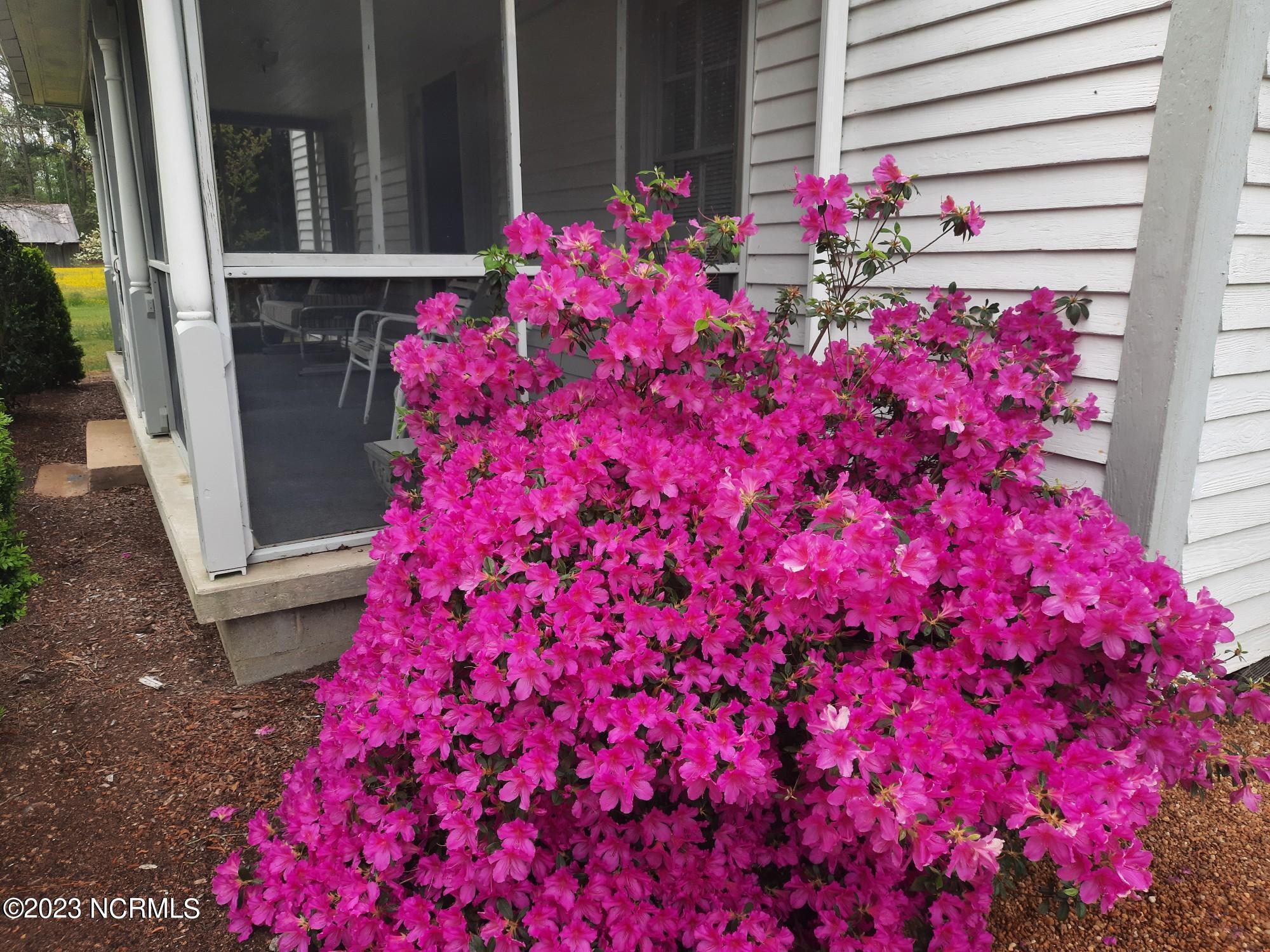 16126 Highway 32 Roper, NC 27970 - Photo 61 of 64 Resized_20230414_090304