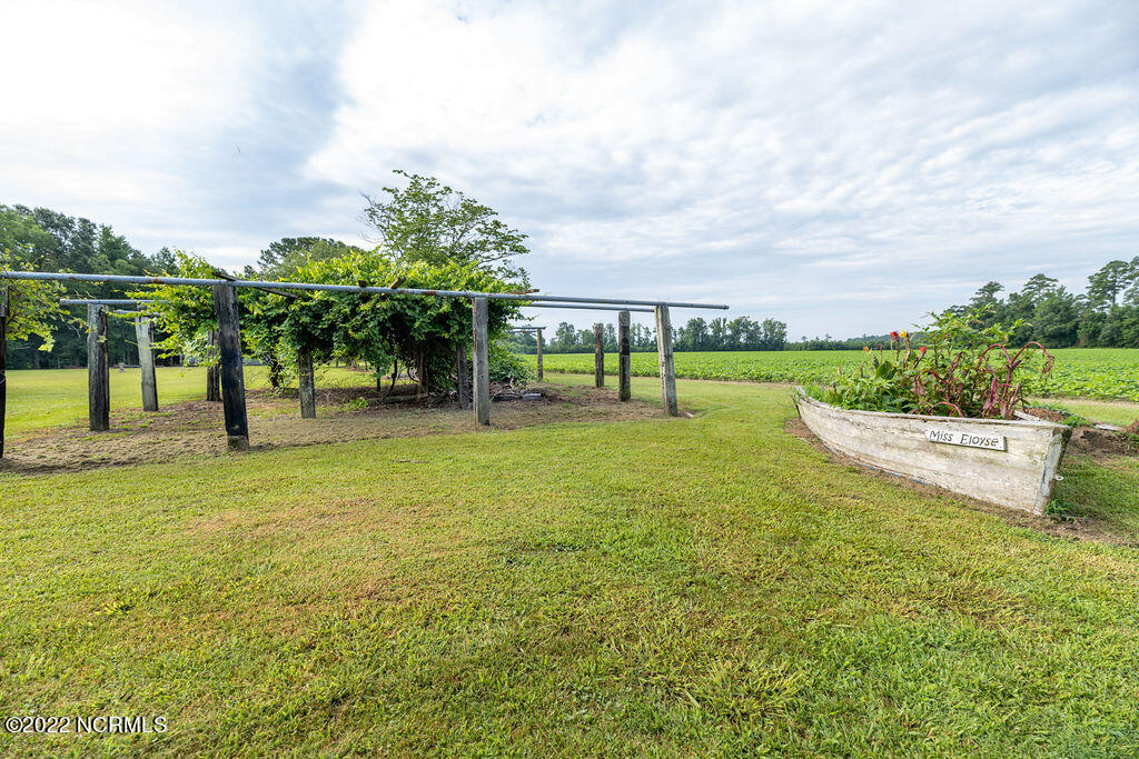 16126 Highway 32 Roper, NC 27970 - Photo 6 of 64 Yard