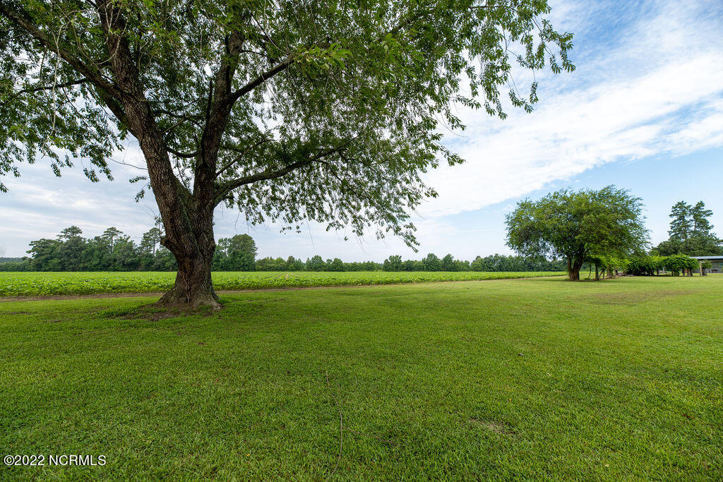 16126 Highway 32 Roper, NC 27970 - Photo 8 of 64 Yard6