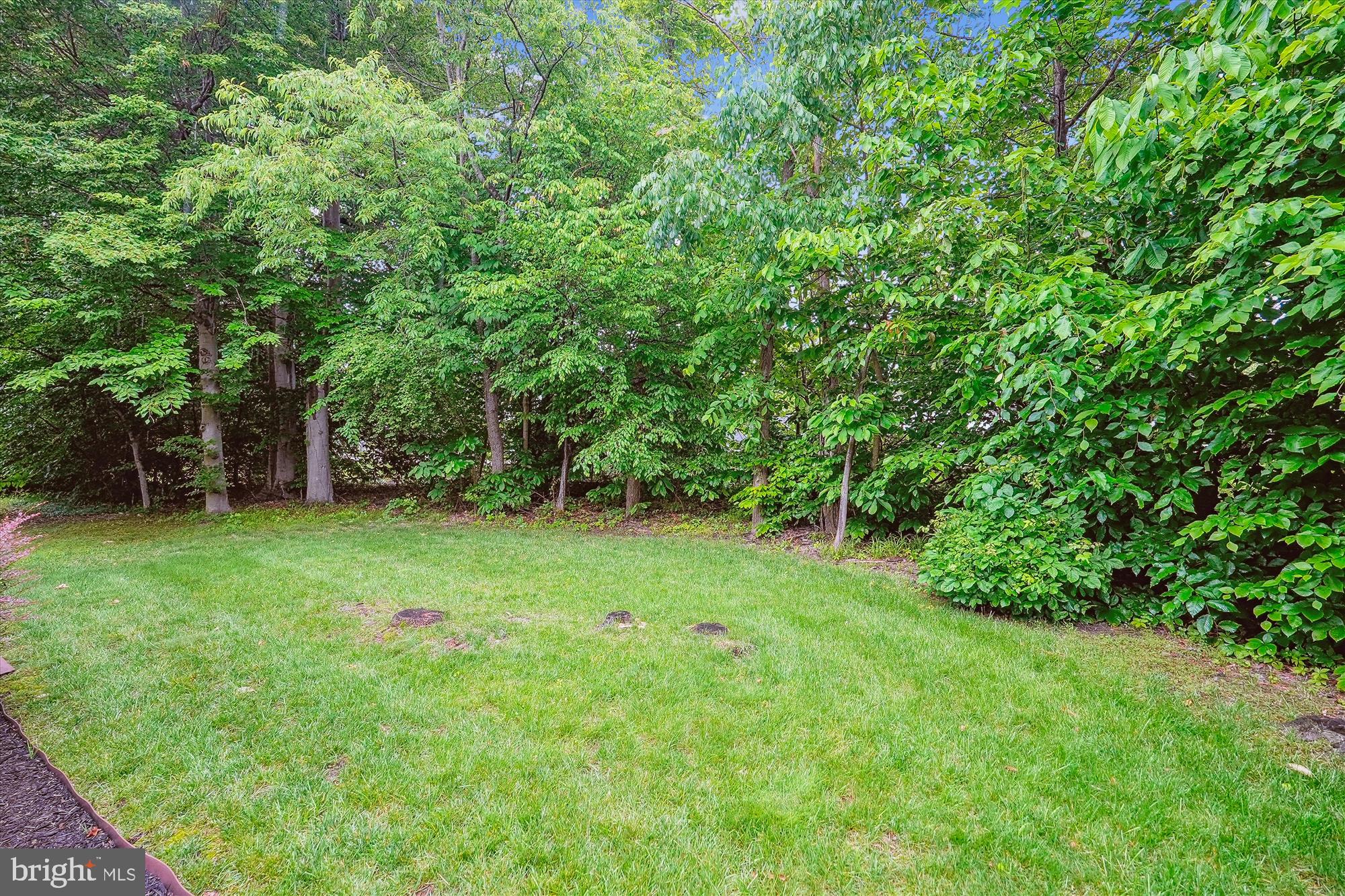 47666 Paulsen Square Sterling, VA 20165 - Photo 3 of 92 Back Yard